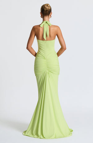 Rosetta Maxi Dress - Lime 3